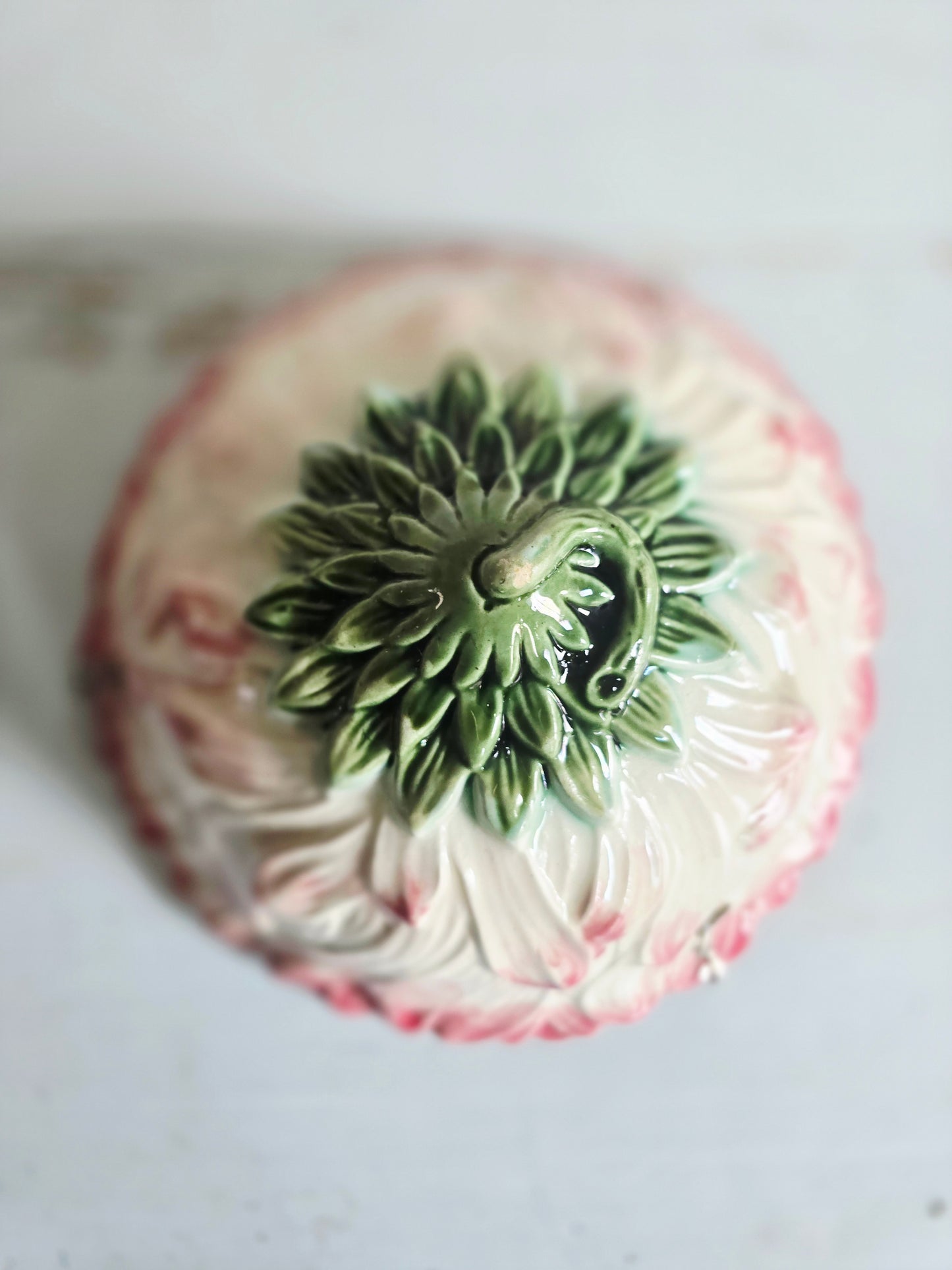 La jardinière dahlia