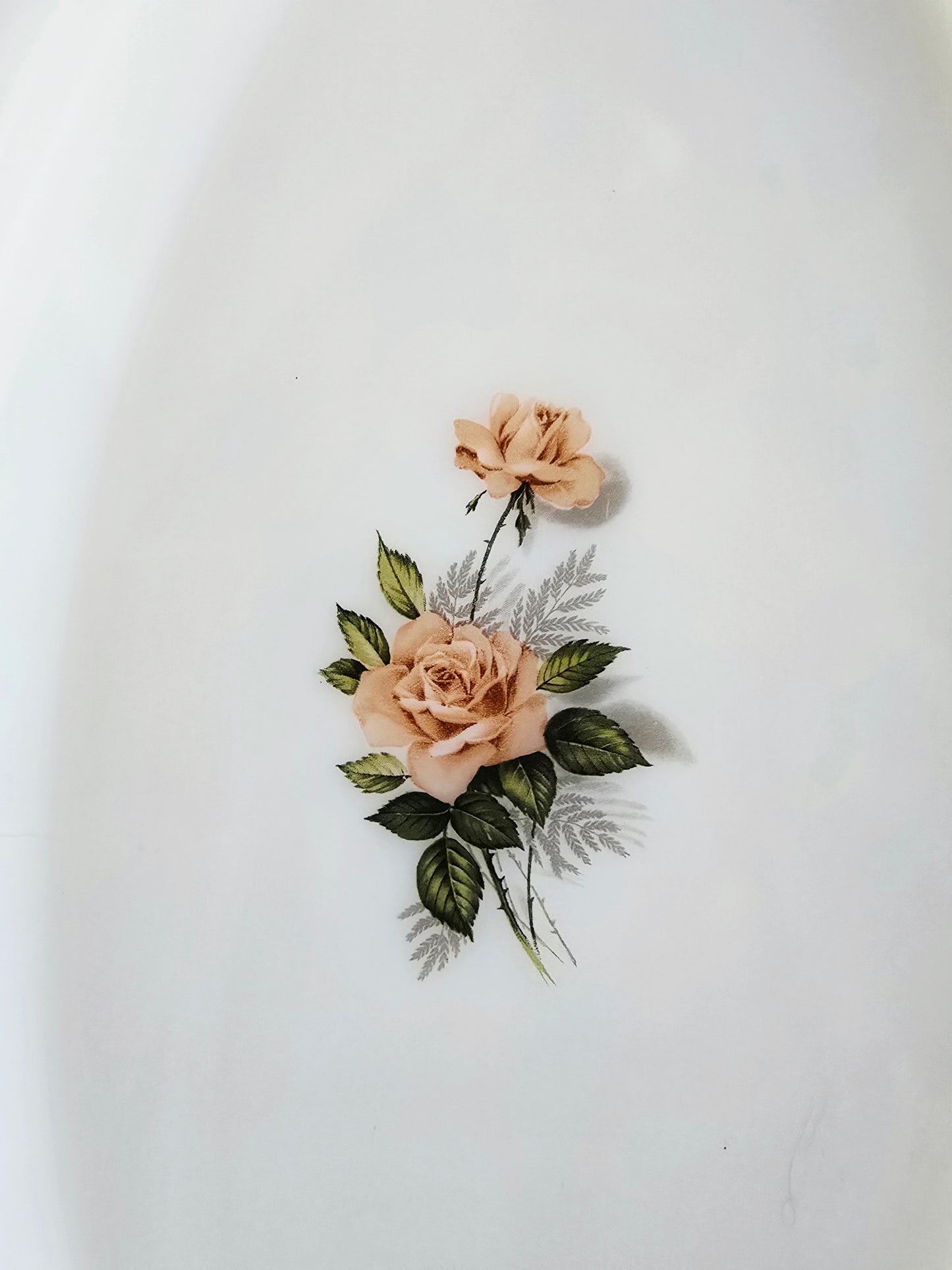 Le plat arcopal Roses