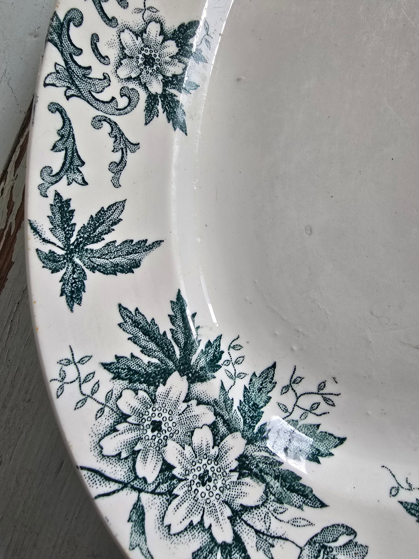 Le plat Anémone