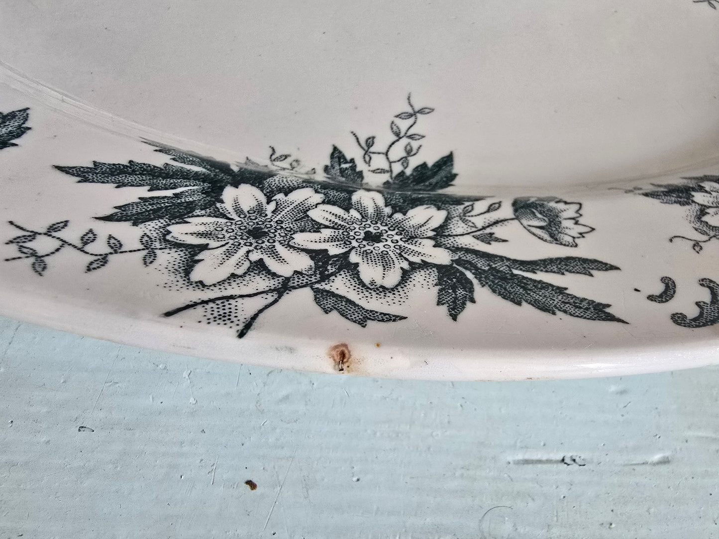 Le plat Anémone