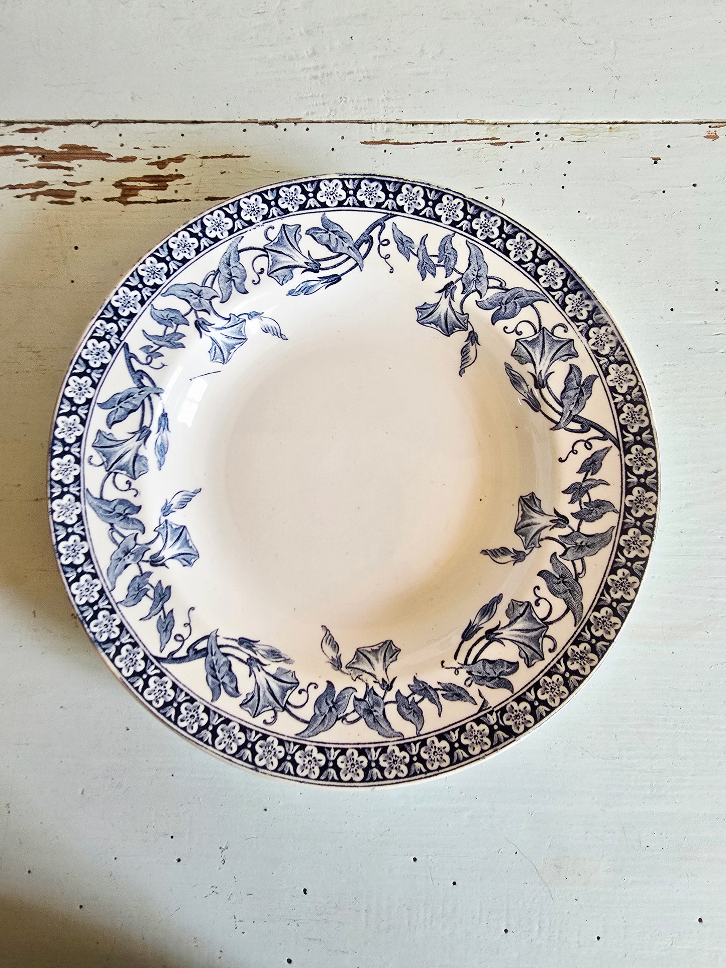 L'assiette creuse Volubilis
