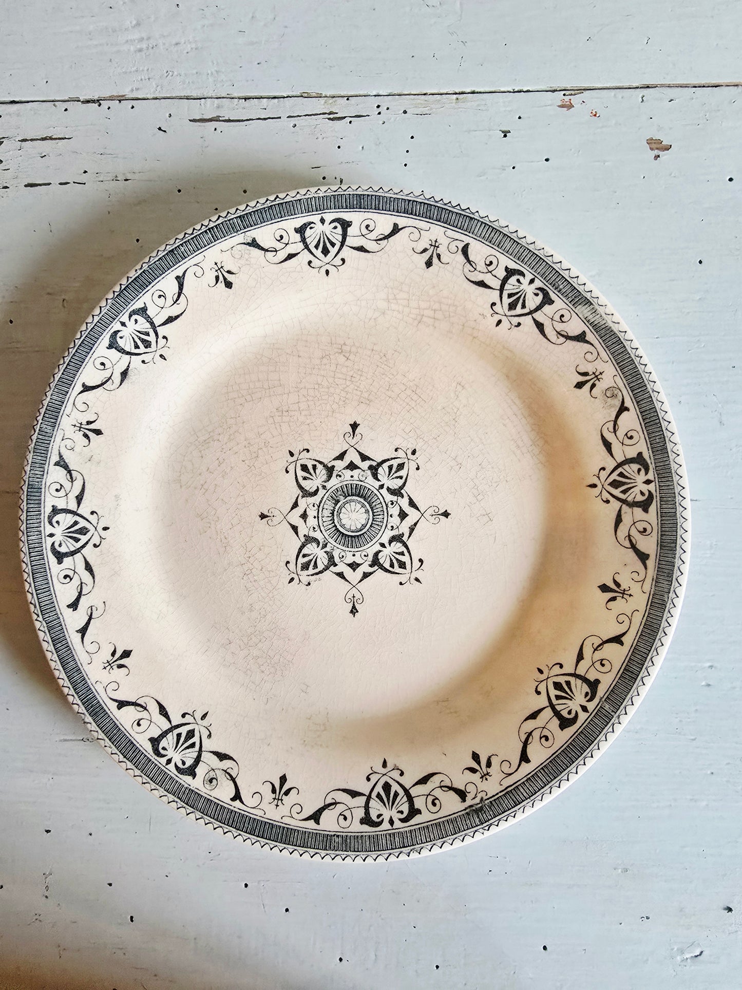 L'assiette Amiral