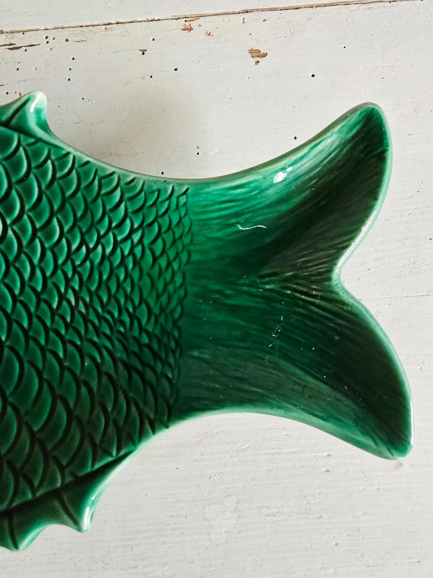 Le plat poisson