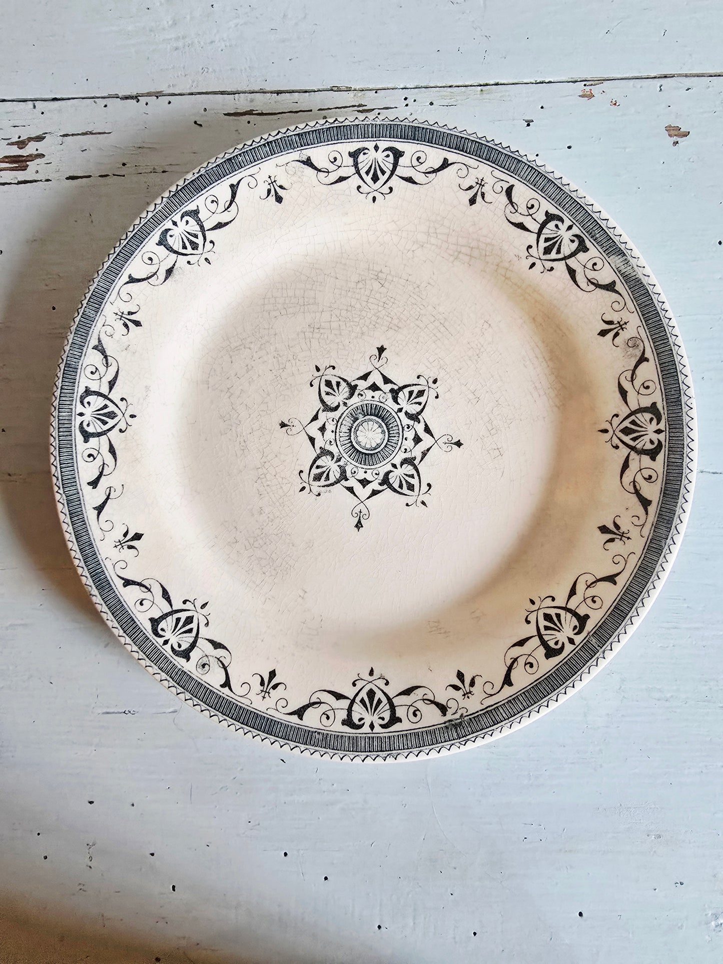L'assiette Amiral