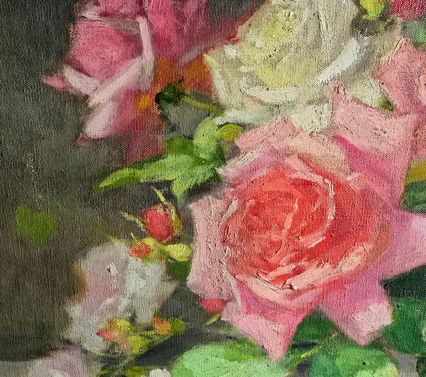 Les roses de P. Baeschlin