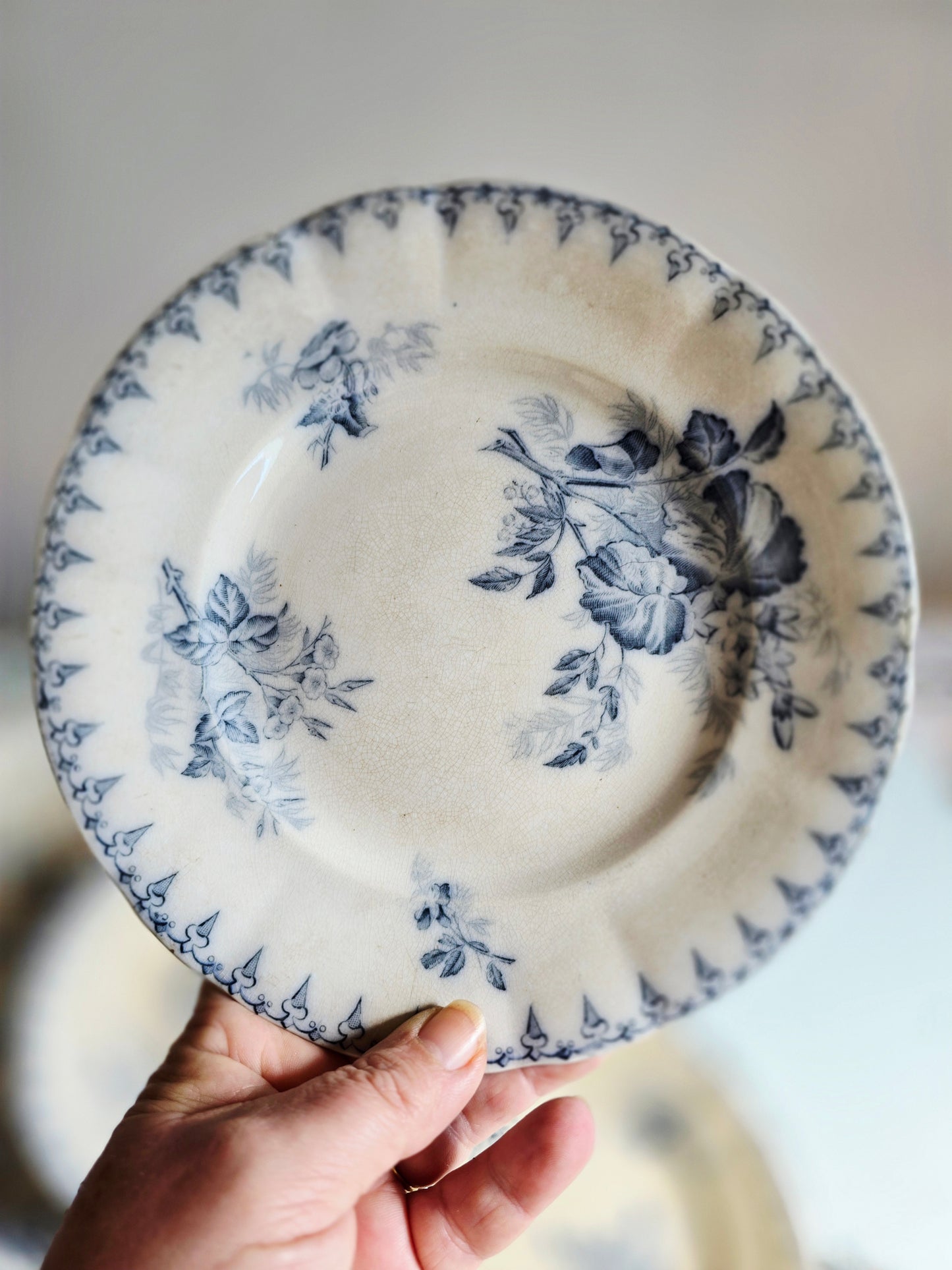 Les assiettes à dessert Flore