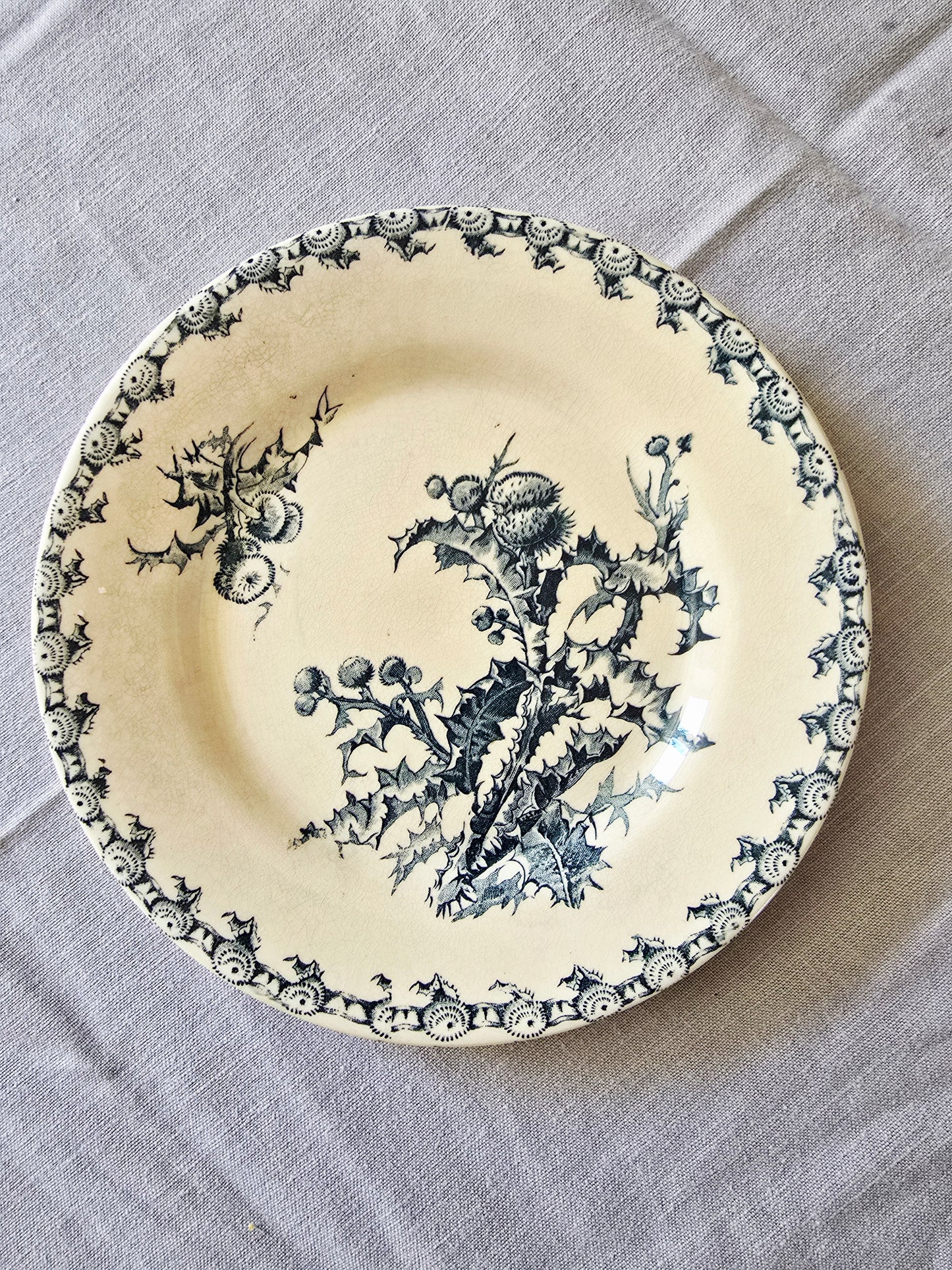L'assiette Chardons