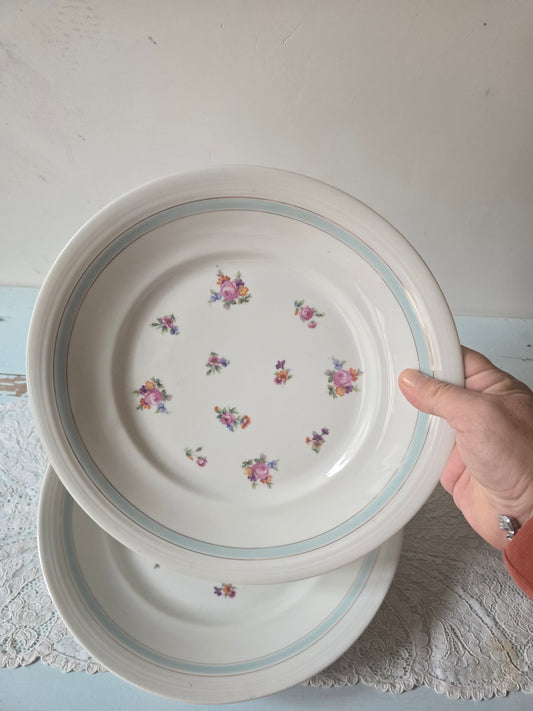 Le duo de plats Ceranord