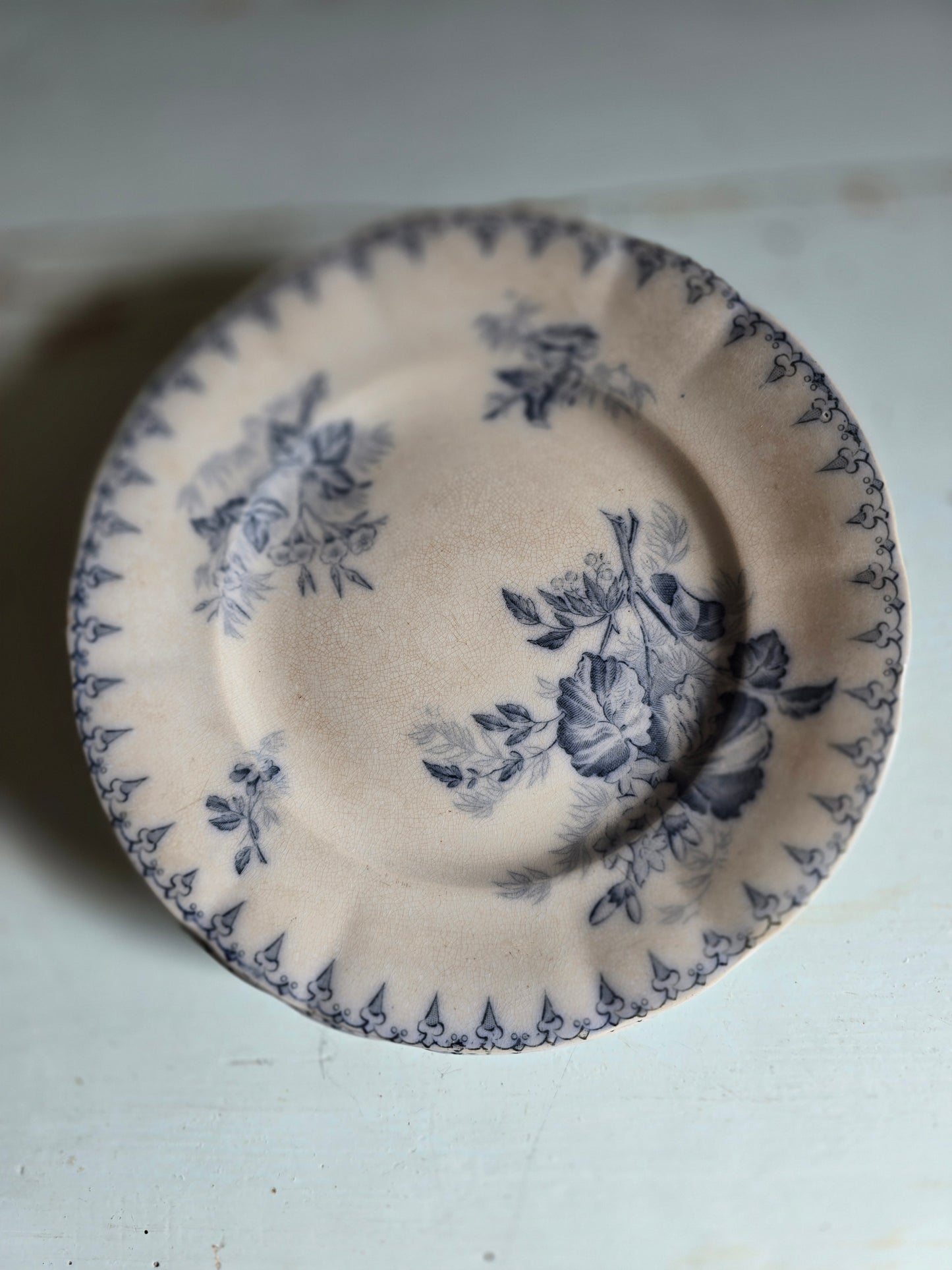 Les assiettes à dessert Flore