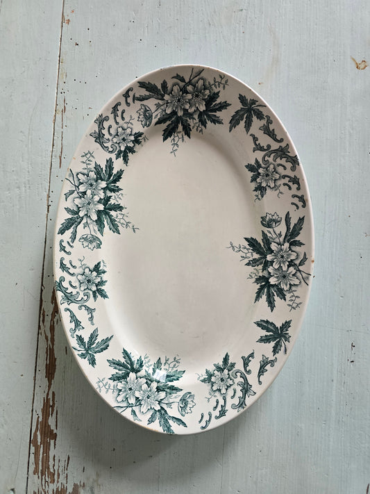 Le plat Anémone