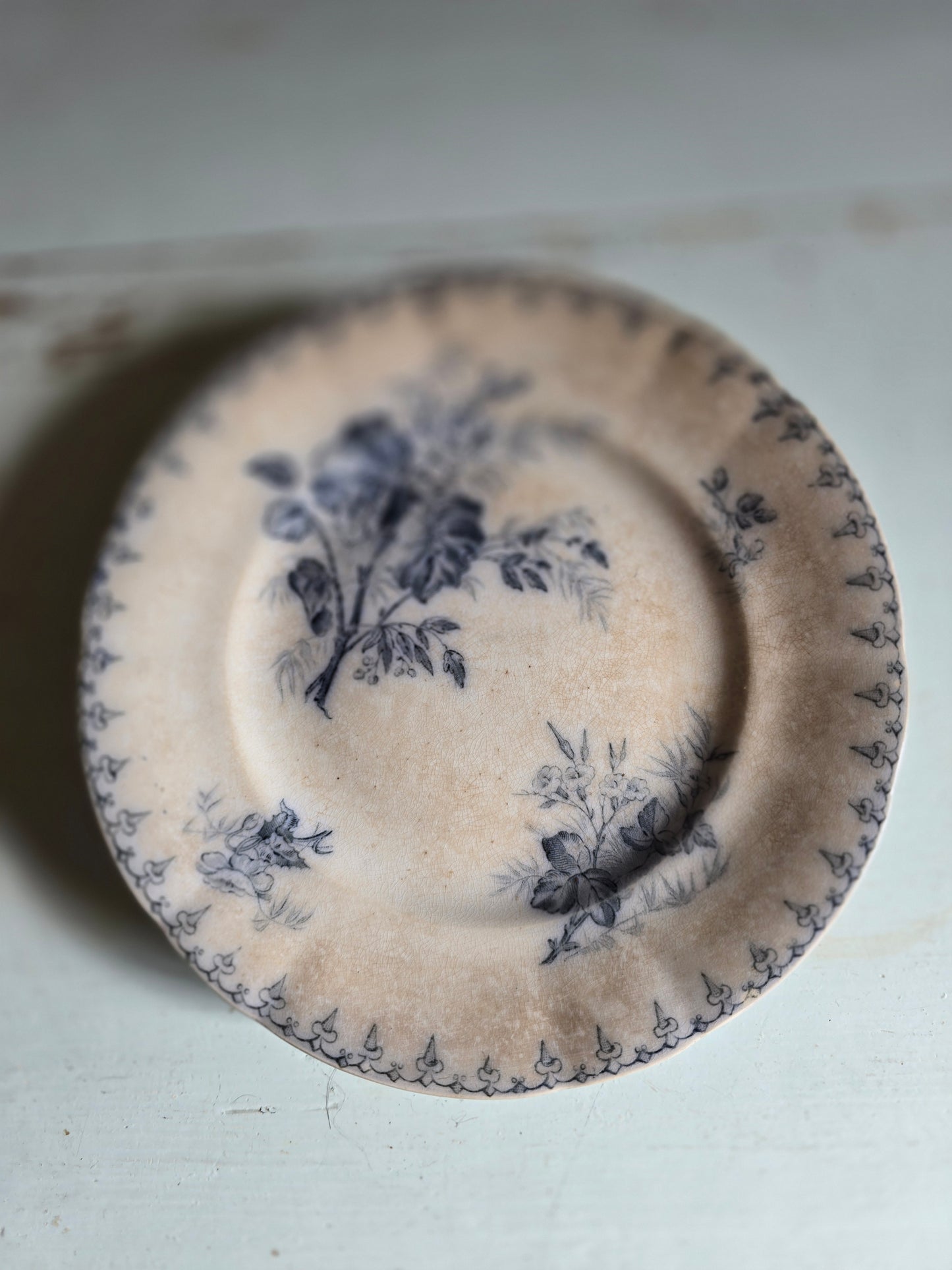 Les assiettes à dessert Flore