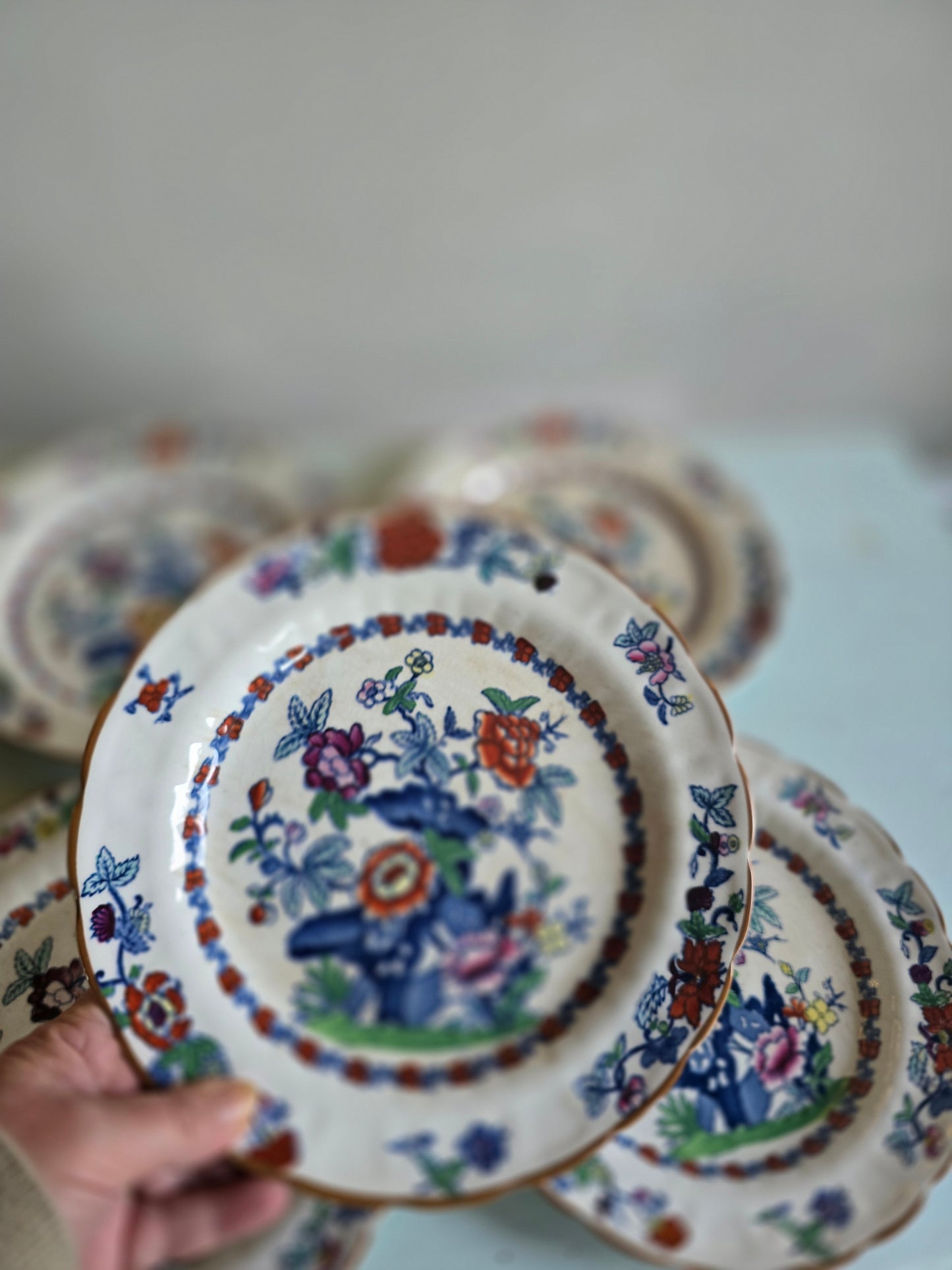 L'assiette Pompadour