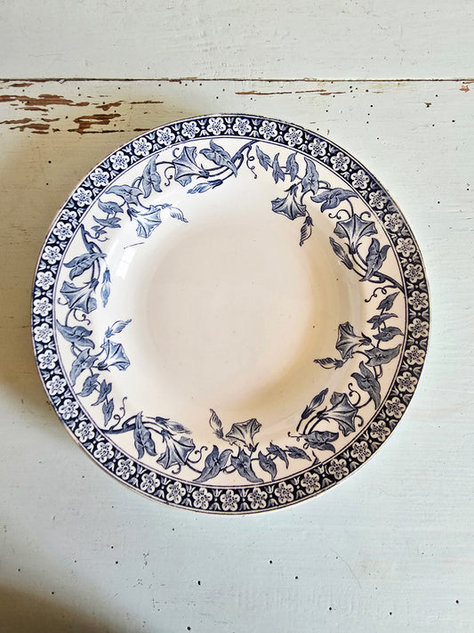 L'assiette creuse Volubilis