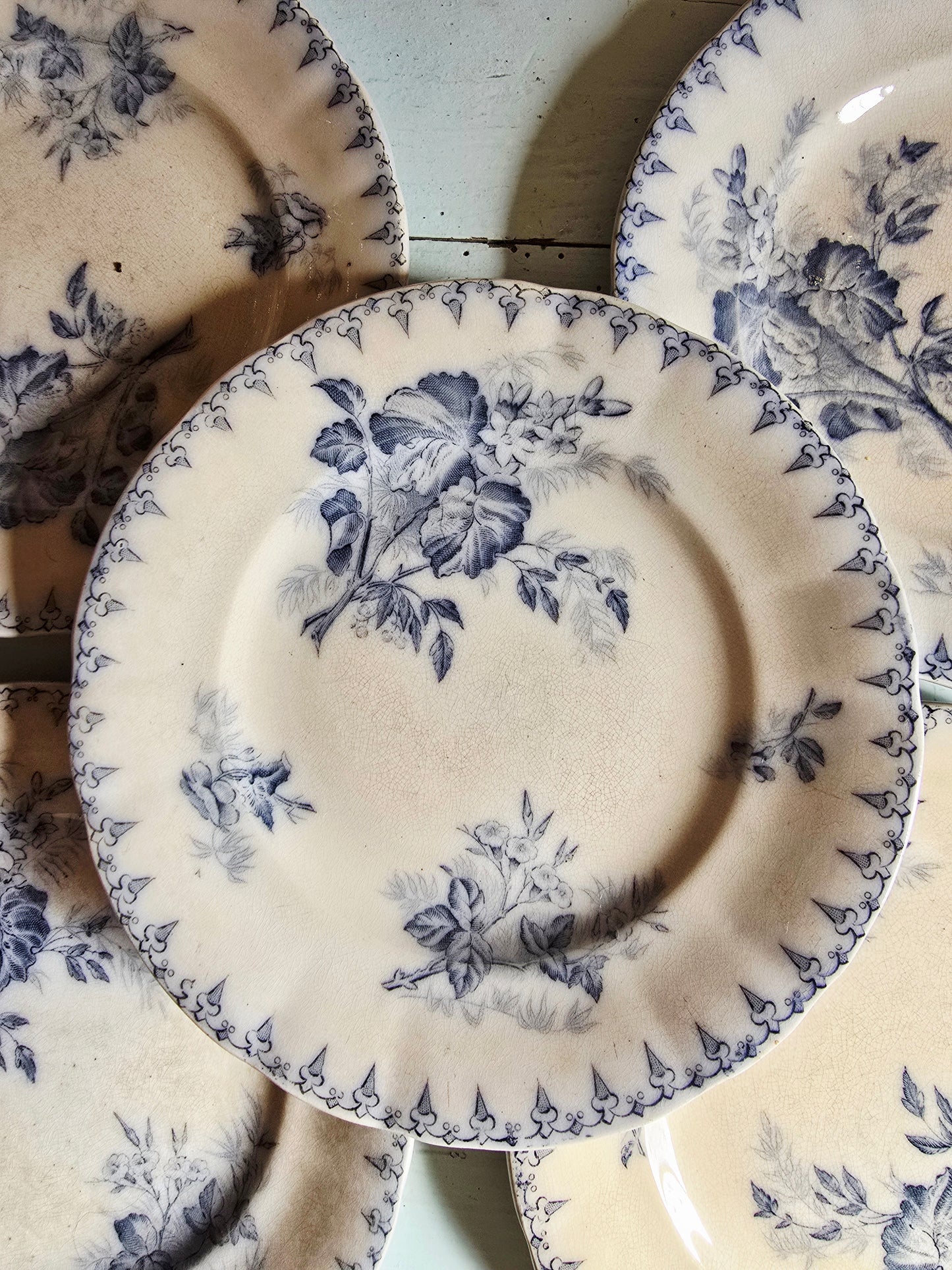 Les assiettes à dessert Flore