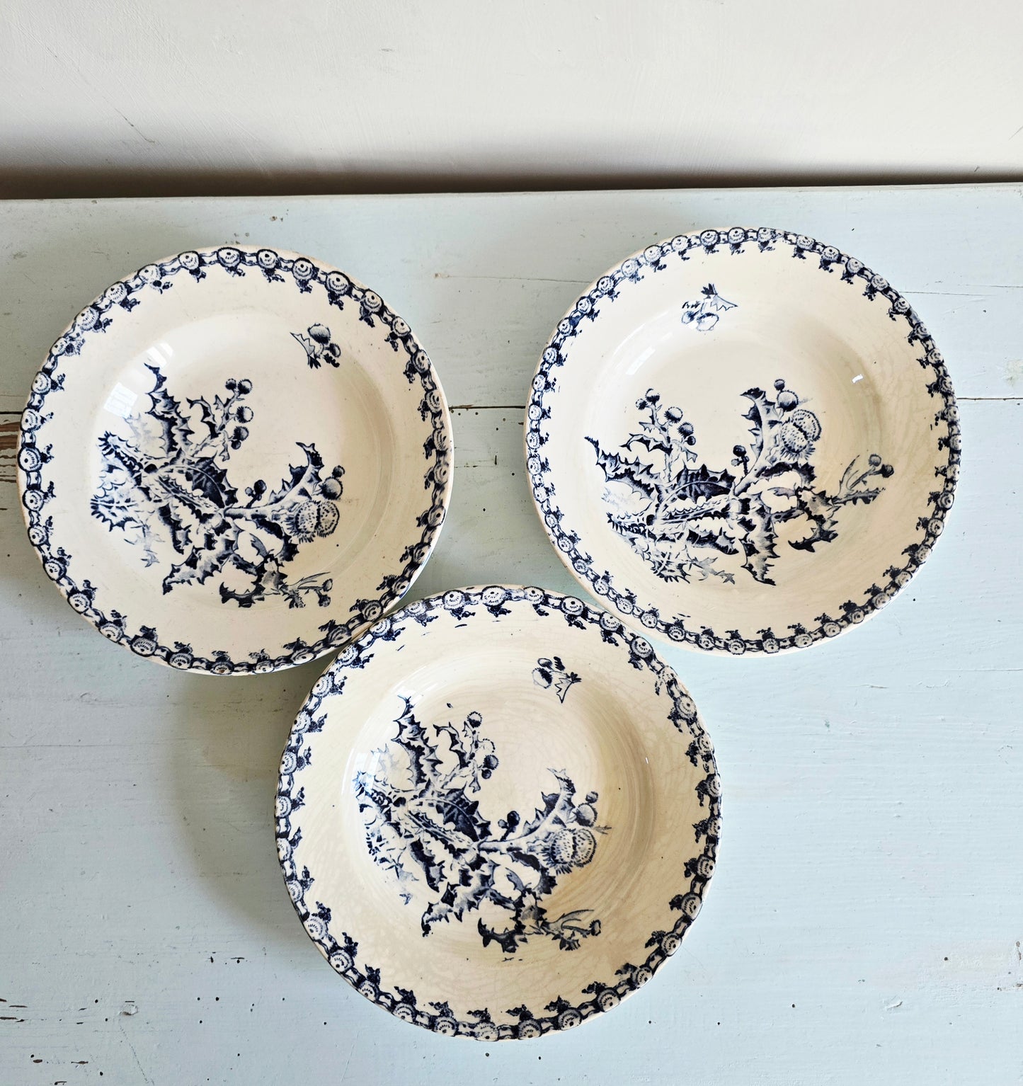 Les 3 assiettes creuses Chardons