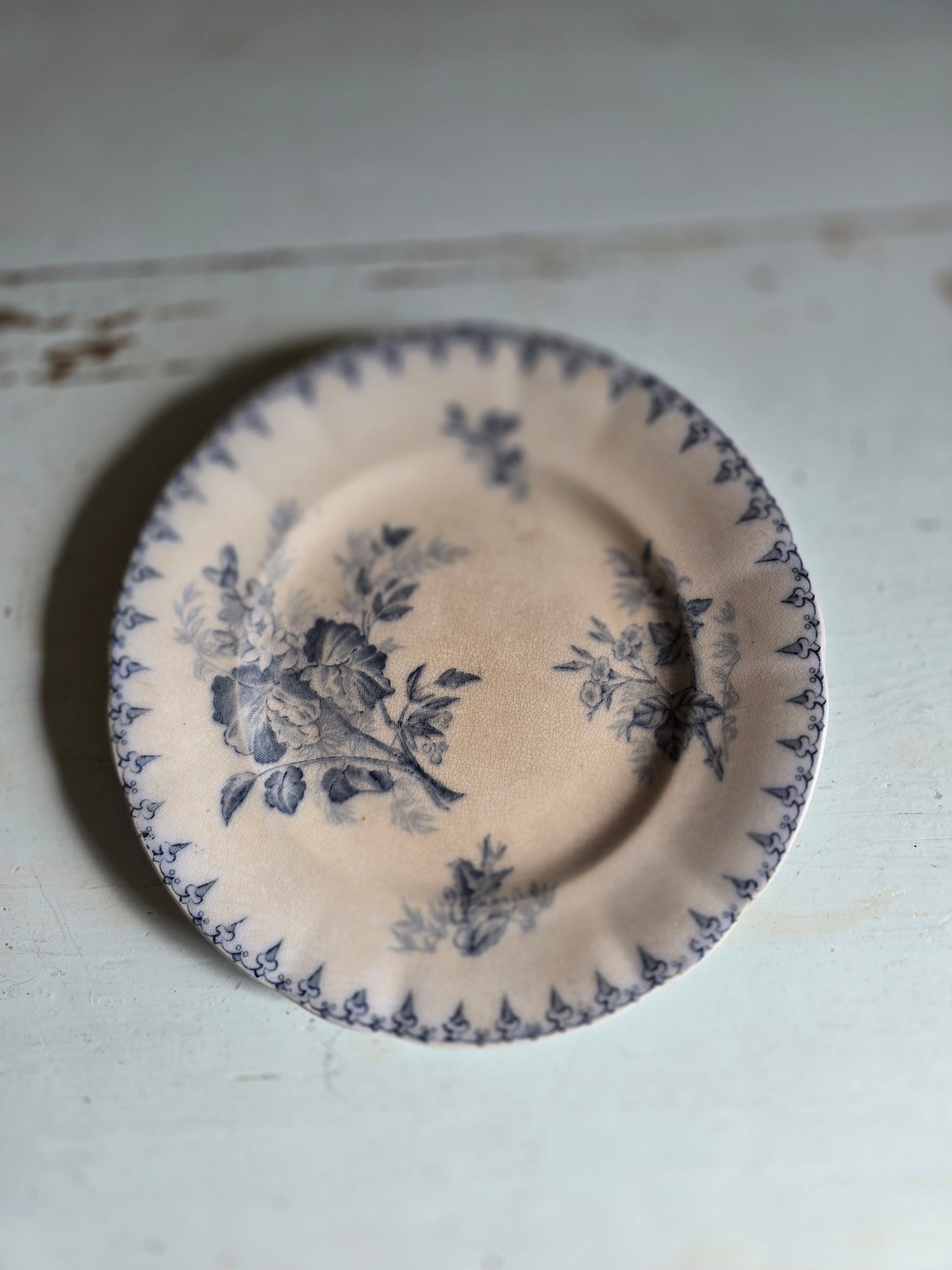 Les assiettes à dessert Flore