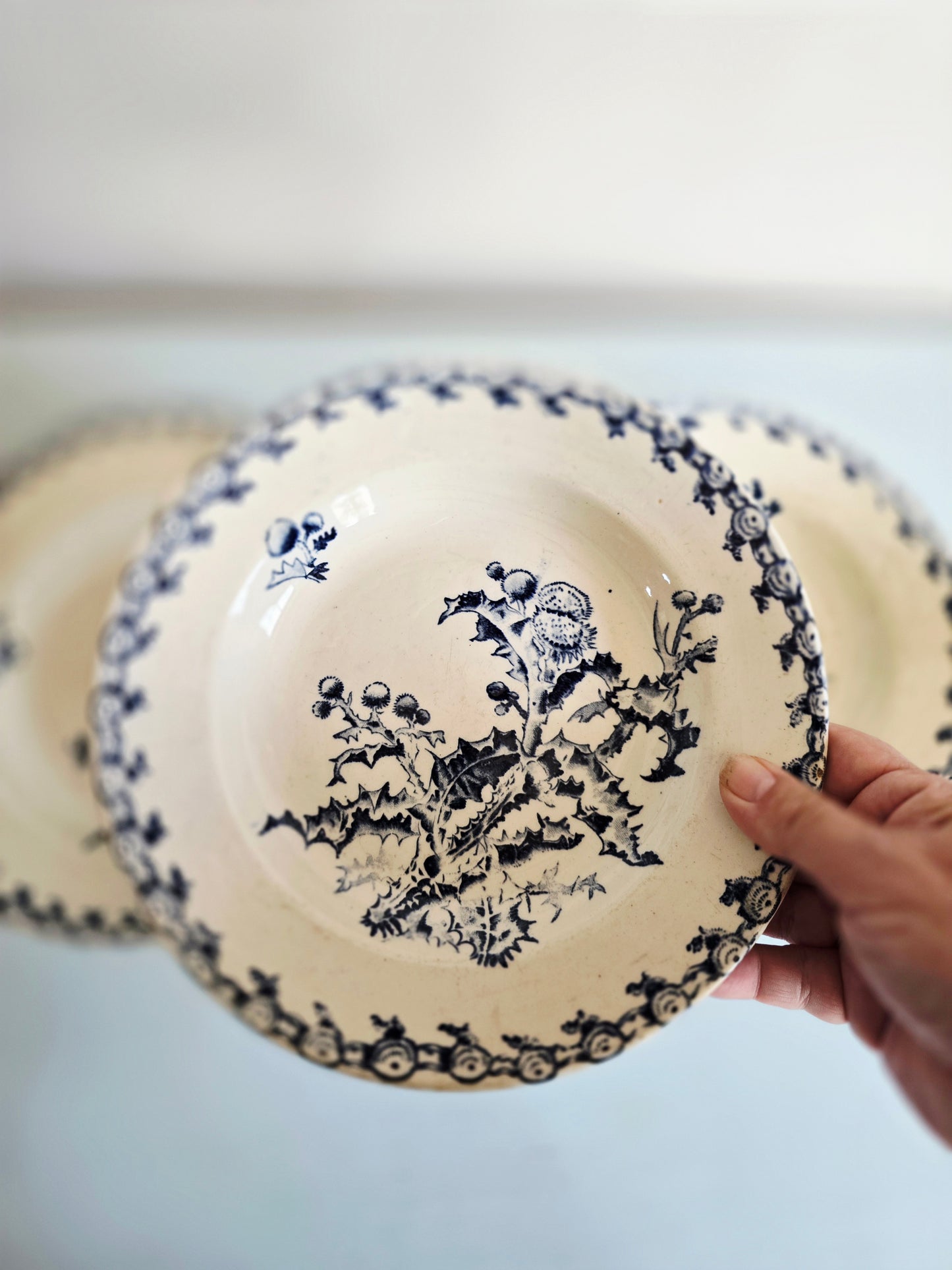 Les 3 assiettes creuses Chardons